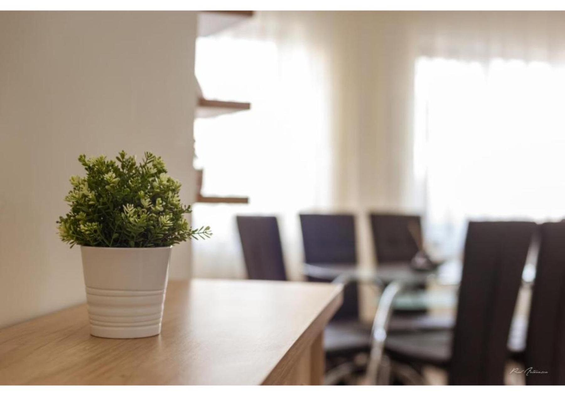 Luxury Apartment Питешти Экстерьер фото